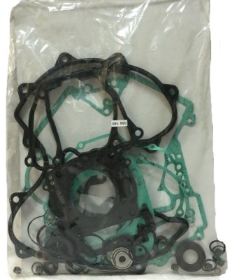 Комплект прокладок двигателя BRP 420684148