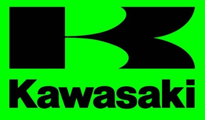 Грузик вариатора для квадроцикла Kawasaki KVF 750 39152-0091
