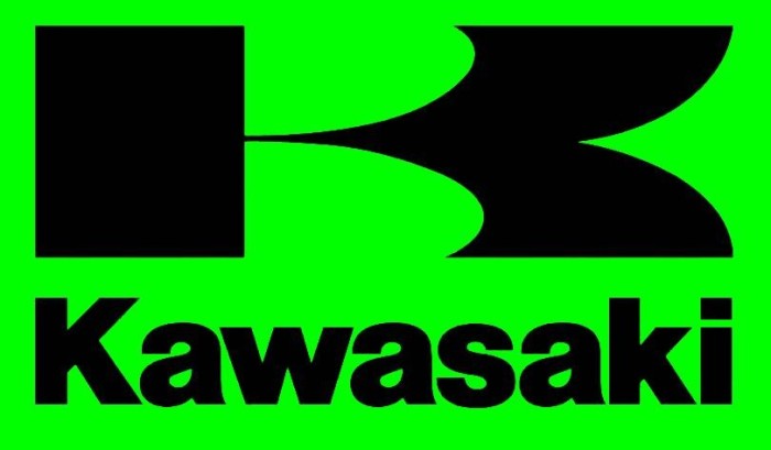 Грузик вариатора для квадроцикла Kawasaki KVF 750 39152-0091
