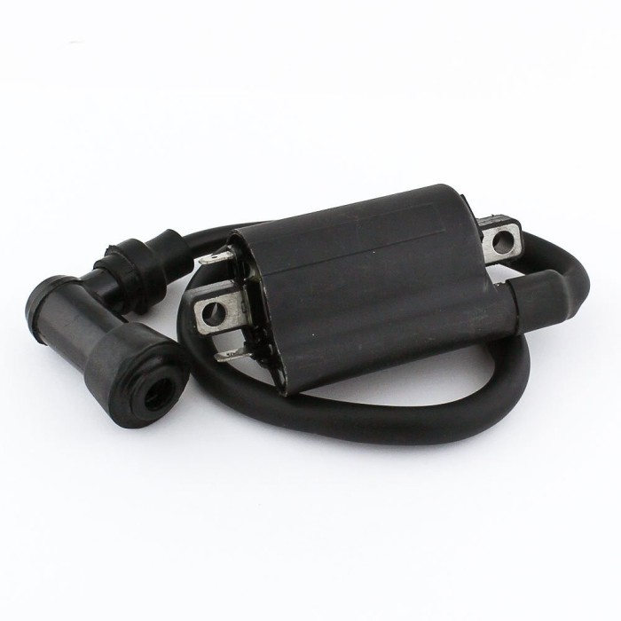 Катушка зажигания для квадроцикла Yamaha 2UJ-82310-01-00 3SX-82310-00-00 3TB-82310-00-00 4DN-82320-01-00