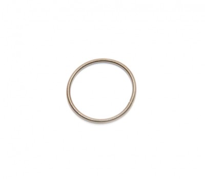 Кольцо пружина RAVE клапана Sea-doo 420838253 420838255