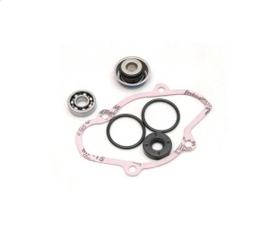 Сальники ( Ремкомплект ) помпы снегохода Ski-Doo 800 Expedition   GSX   MXZ   Summit  420950890   420230196   420232100   420650370   420430050   721312   125-90961