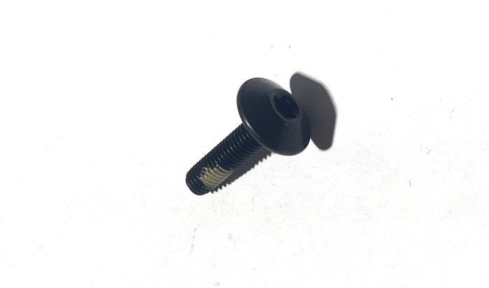 Болт BRP Ski-Doo Torx Truss M5 X 20 250000586