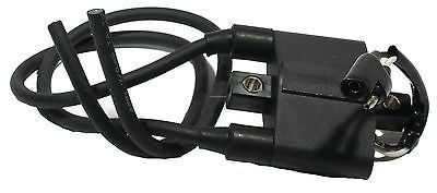 Катушка зажигания для снегохода Polaris RMK Switchback IQ Shift IQ Racer XC SP ED 800 700 600 500 4060229 4060225