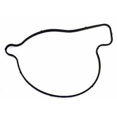 Прокладка помпы неоригинальная для BRP Can-Am 420651190N