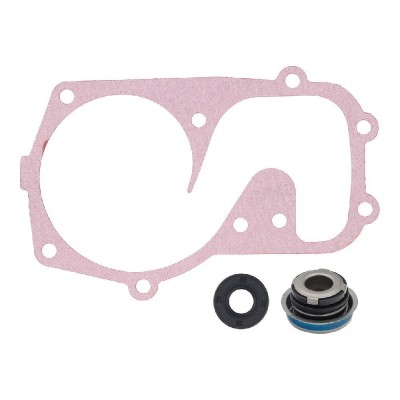 Ремкомплект помпы охлаждения снегохода Polaris Titan Pro RMK Axys SKS Switchback Assault Widetrak IQ 10-721310